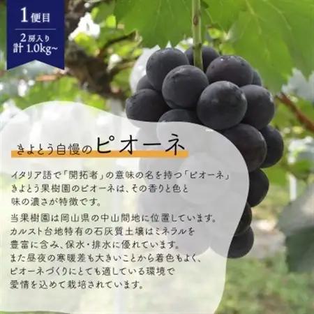 【発送月固定定期便】ピオーネとシャインマスカットの人気便 (2房入/1.0kg) (岡山県産)全2回【配送不可地域：離島・北海道・沖縄県】【4078996】