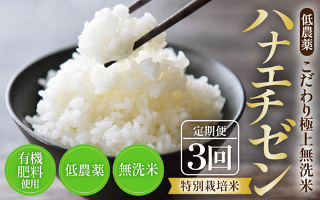 【先行予約】【令和8年産・新米】《定期便》特別栽培米 ハナエチゼン  低農薬 5kg×3回 15kg 《こだわり極上米》 / 福井県 あわら 北陸 米 お米 人気 ※2026年9月上旬以降順次発送 [aw032-d007]