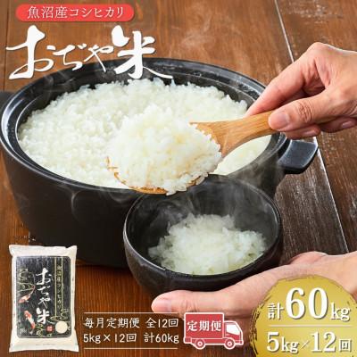 ふるさと納税 小千谷市 【毎月定期便】魚沼産コシヒカリ 精米5kg全12回