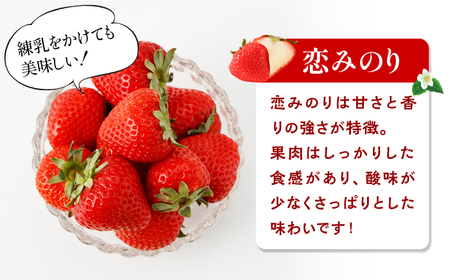 【10月1日金額改定予定！】【先行予約】【全4回定期便】紅白いちご（恋みのり・パールホワイト）/ いちご イチゴ 苺 果物 フルーツ 定期便 / 佐賀県ふるさと納税 [41AAZZ002]