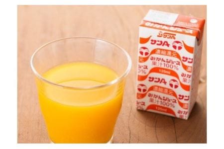 サンAみかんジュース100%　125ml紙パック×24本×2ケース 【 ふるさと納税 飲料 ジュース みかん ミカン 温州みかん 紙パック 川南町 国内産 九州 宮崎県 送料無料 】