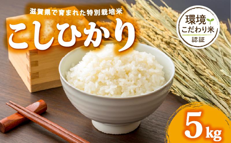 
            【 令和7年産 5kg 】 コシヒカリ 米 白米 2025年産 こしひかり 国産 滋賀県 日野町 農家直送 お米 精米 おこめ こめ 産地直送 ふるさと納税
          