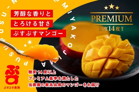 KY009【ぷすぷす農園】宮古島産完熟マンゴープレミアムお中元セット（贈答用／2キロ×10セット／農園直送）