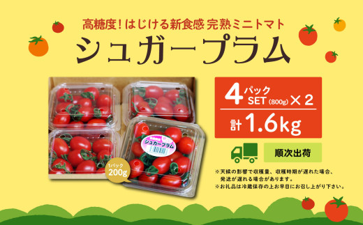 青森県六ヶ所村産トマト　1.6㎏