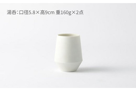 【美濃焼】frustum 土瓶湯呑3点セット（白）【晋山窯ヤマツ】≪土岐市≫ 茶器 茶器セット 急須 ポット ティーポット [MAS005]