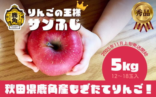 《先行予約》秋田県鹿角産 りんご 秀品 サンふじ 約 5kg（12～18玉入） ●2026年11月上旬発送開始 【ケーケー農園】かづのりんご 食感 果汁 さっぱり リンゴ 完熟 旬 県産りんご 林檎 お中元 お歳暮 贈り物 お見舞い グルメ ギフト 故郷 秋田 あきた 鹿角市 鹿角 送料無料