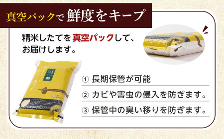 【10月発送】令和7年産　ゆめぴりか 無洗米 真空パック 5kg×2袋 10kg| ゆめぴりか 北海道 限定_05241