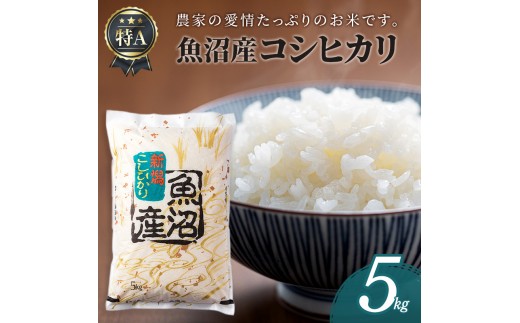 
                  魚沼産コシヒカリ5kg
                