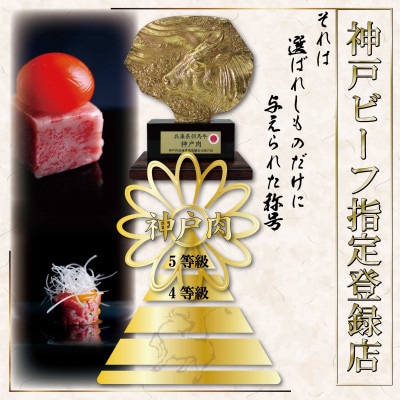 神戸牛 ロースステーキ 250g×2枚 計500g KKWST5 【2026年4月より順次発送】【配送不可地域：離島】【1683049】