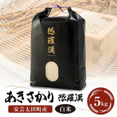 ふるさと納税 安芸太田町 安芸太田町産あきさかり「恐羅漢米」5kg