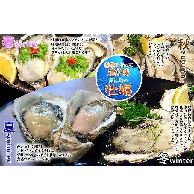 【 3ヵ月 定期便 】 北海道厚岸産 生食用 殻付カキ 3Lサイズ  12個　マルえもん 魚貝類 海の幸 海のミルク 海鮮 国産 北海道産 オイスター つまみ お酒 あて 肴 生牡蠣 メルマガ掲載商品