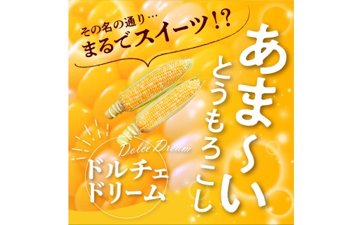 【先行受付】【2027年7月下旬～8月15日頃配送】北海道十勝芽室町 なまら十勝野　ドルチェドリーム(10本) 　me001-043-27b／スイートコーン バイカラー コーン とうきび 生 野菜 朝