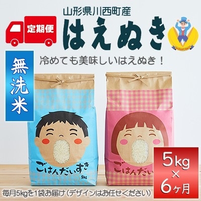 
                  ＜発送月固定定期便＞はえぬき　無洗米　5kg全6回【4090387】
                