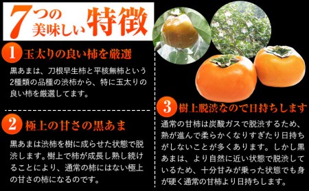 ＜先行予約＞紀の川市産 黒あま 種なし 約3.6kg（11〜15玉前後）4L〜2Lサイズ《2025年10月中旬-11月末頃出荷》和歌山県 紀の川市 たねなし柿 くろあま 高級 産地直送 かき 柿 カキ