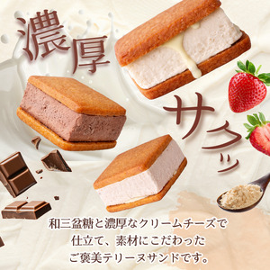 テリーヌサンド フロマージュ 6個 3種×2個 ドリームチーム