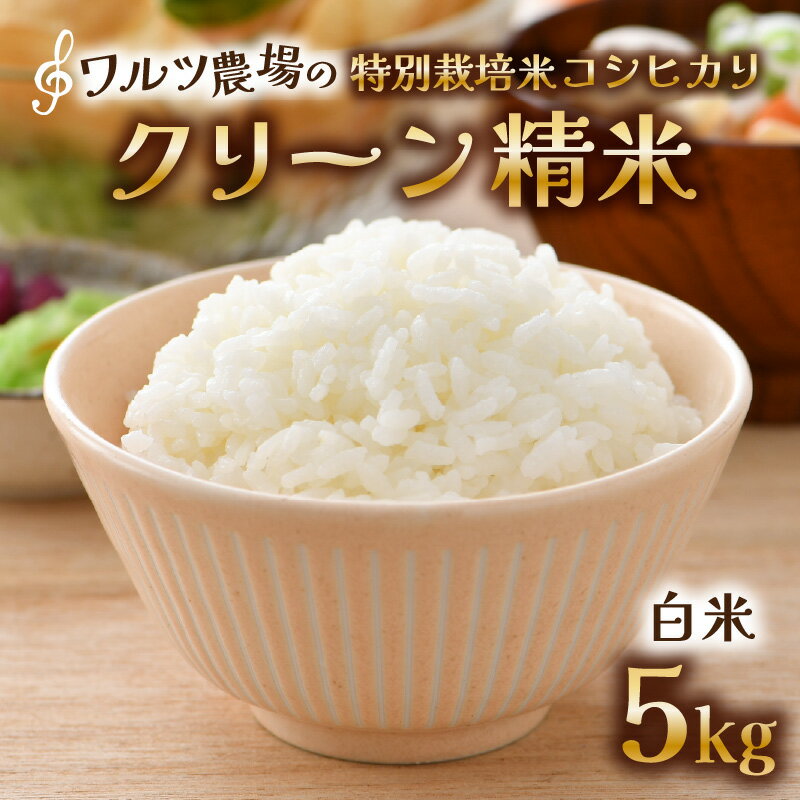 【ふるさと納税】【先行予約】【令和8年産 新米】ワルツ農場のコシヒカリ クリーン精米 5kg 特別栽培米【納得の美味しさ】減農薬 有機肥料使用 / お米 ご飯 白米 発送直前 北陸 あわら市産 福井県産 ブランド米 ※2026年10月下旬以降発送予定