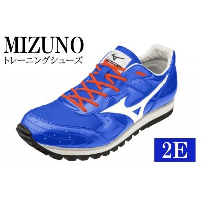 ふるさと納税 宍粟市 ミズノトレーニングシューズ　BUILT　TRAINER【スカイブルー×パールホワイト2E】 AO36