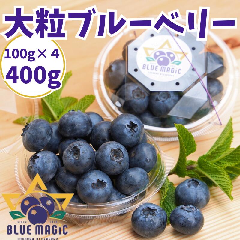 【ふるさと納税】 （先行予約） フレッシュ 大粒ブルーベリー 400 g（100g×4パック） ふるさと納税 ブルーベリー 大粒 特大 フルーツ 果物 くだもの ジャム ヨーグルト チーズケーキ 銚子産 千葉県 銚子 AGRIMOVADO アグリモバード 4月下旬から5月末頃まで発送