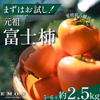 ふるさと納税 八幡浜市 ※先行受付中!!【まずはお試し】元祖・富士柿2.5kg【63-6】