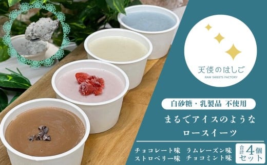まるでアイスのようなロースイーツ 4種セット チョコレート ラムレーズン チョコミント ストロベリー ロースイーツ 冷凍 【天使のはしご】 / 岩手県 遠野市