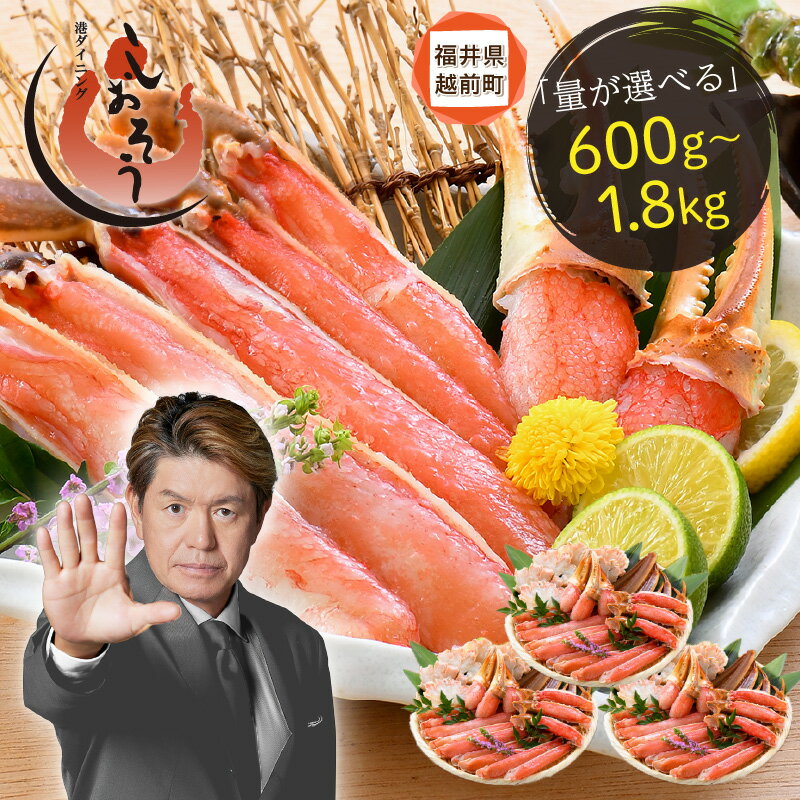 【ふるさと納税】【選べる発送月】 カット 済み 生ずわい蟹 【選べる内容量】約600g〜約1.8kg 【お手軽 生食可 蟹 ズワイ カニ ずわい かに 冷凍 aj】