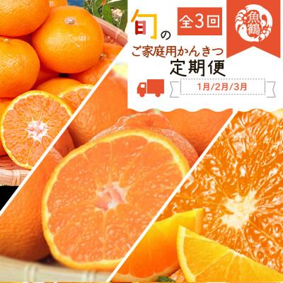 ふるさと納税 九度山町 【発送月固定定期便】紀州和歌山産旬のご家庭用柑橘セット(みかん・不知火・清見)全3回