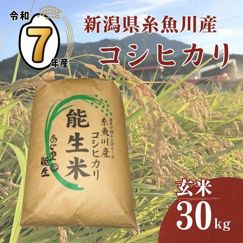 ★7日以内でスピード発送★ 令和7年産『新潟県産コシヒカリ』 玄米 30kg 農家直送（精米サービス可能） 農家直送 あぐ里能生 プロが認めたうまい米 ふっくらもちもち 糸魚川 農家自慢 精米 おにぎり お弁当 新潟米 産地直送 コシヒカリ30kg あぐ里能生