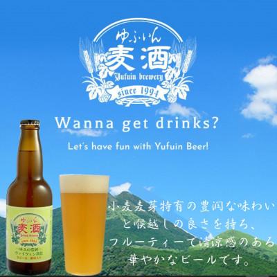ふるさと納税 由布市 ゆふいんビール2種飲み比べセット&オリジナル栓抜きキーホルダー付(2種各3本　小瓶(330ml)) |  | 01