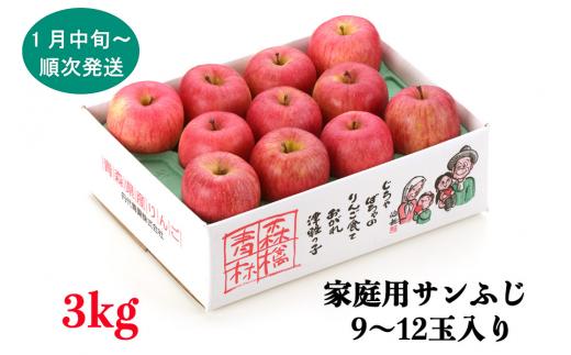 
家庭用りんご サンふじ 3kg (9～12玉入り 3kg 1箱) ～見た目にわけあり 味はそのまま～｜青森 津軽 つがる リンゴ 訳あり 果物 旬 [0341]
