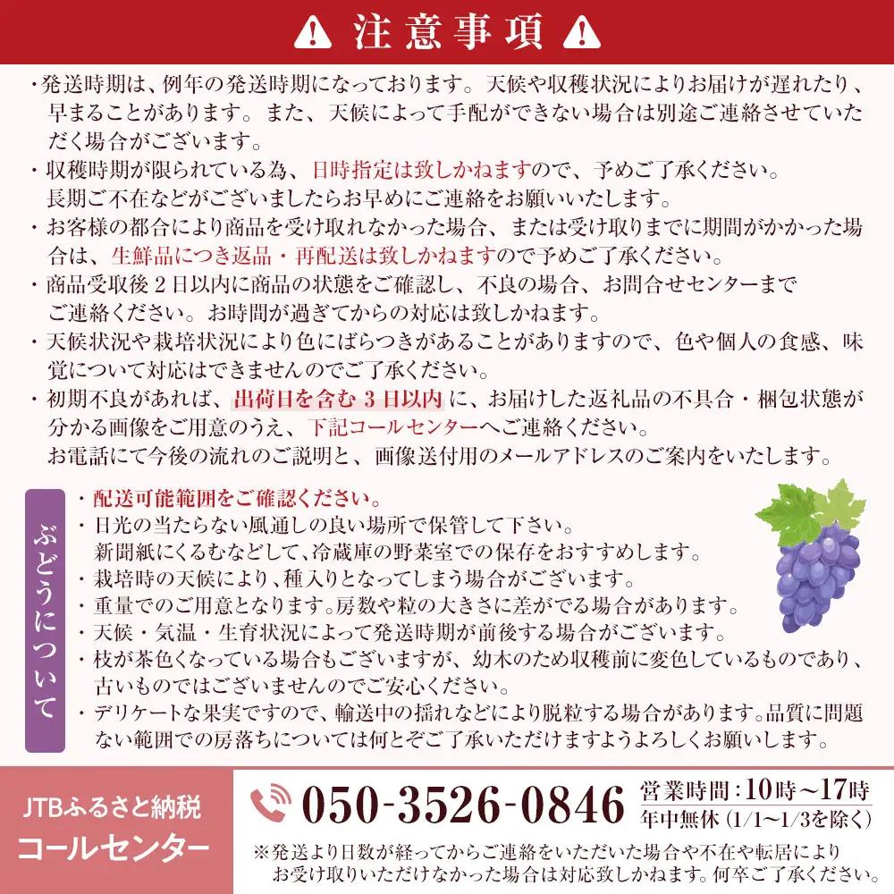 信州やなぎさわ農園果逢　信州産ナガノパープル　2房（合計1kg以上）【大粒＆大房】（9月発送） | 果物 ぶどう ナガノパープル 旬の味覚