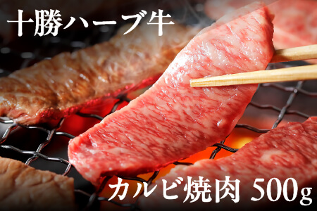 十勝ハーブ牛 牛肉 カルビ 赤身＜500g＞ 北海道産 焼肉 国産牛