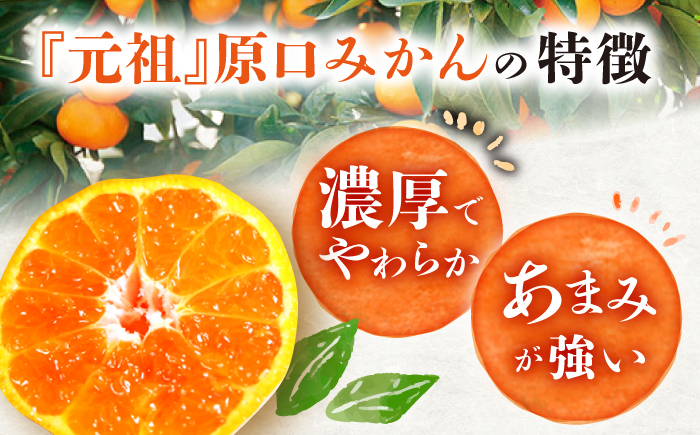 【☆先行予約☆】『元祖！』原口みかん 5kg＜原口果樹園＞ [CCW001]