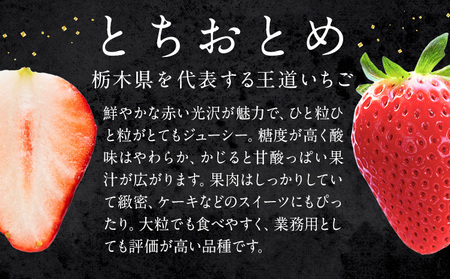 栃木いちごとちおとめ4パック