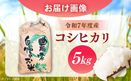 〈ふるさと納税限定！〉令和7年度産コシヒカリ 5キロ / 米 お米 コシヒカリ 新米 精米 白米 産地直送 / 恵那市 / トモファーム[AUCA003]