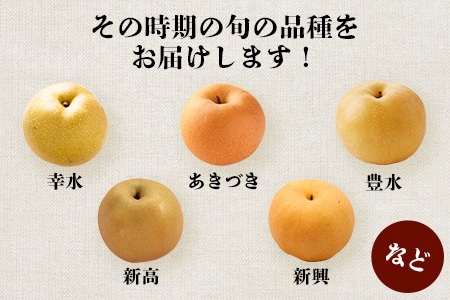 【2026年 7月下旬～10月発送】東光寺 梨 2.5kg (5～7玉) 1箱  先行予約 完熟 梨 なし ナシ フルーツ 果物 くだもの 夏 旬 幸水 幸水梨 豊水 豊水梨 秋月 025-0573