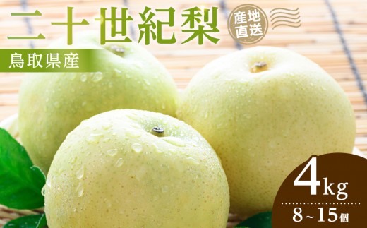 【2026年9月発送】二十世紀梨 4kg【先行予約 梨 なし 果物 フルーツ 4キロ 鳥取県産 北栄町 おすすめ 人気】