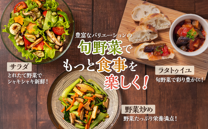 野菜 定期便 12回 とれたて 季節の野菜 8品前後 パック 詰め合わせ セット 野菜セット 野菜詰め合わせ じゃがいも にんじん 大根 小松菜 白ネギ グリーンリーフ チンゲン菜 椎茸 トマト 水菜