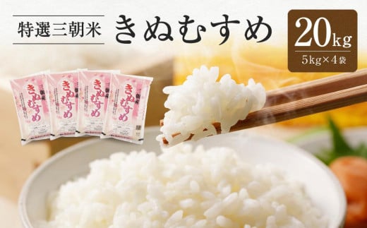 
            【先行予約】令和7年産 新米 米 特選三朝米 きぬむすめ 三朝町産 20kg（5kg×4袋）
          