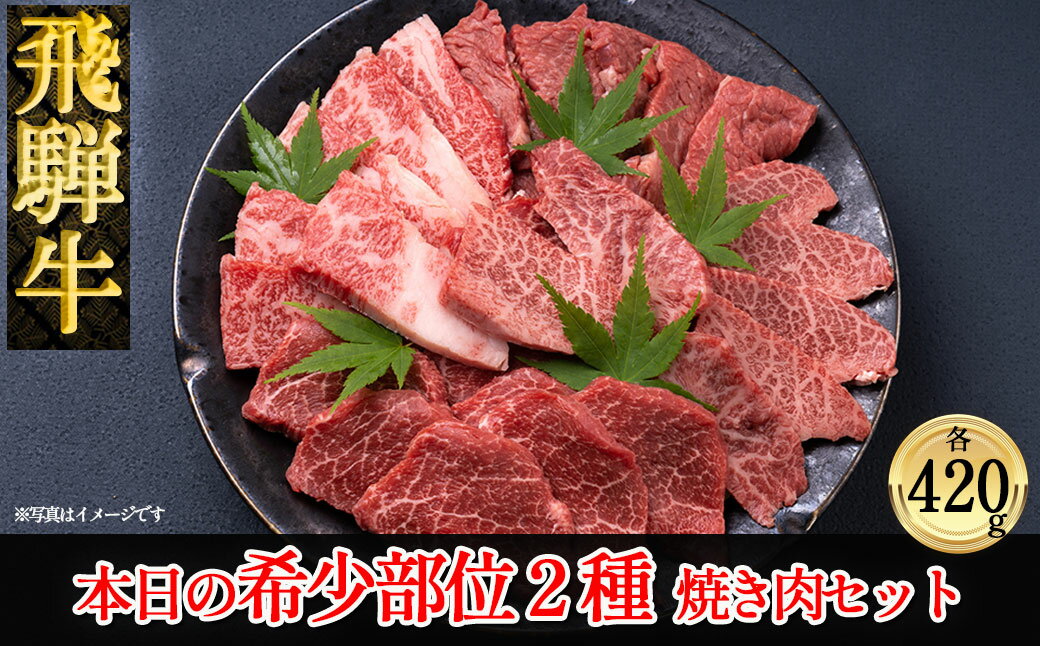 【ふるさと納税】飛騨牛 本日の希少部位 2種 焼肉 牛肉セット計840g　【冷凍】 希少部位420g ×2種 下呂温泉 おすすめ 牛肉 肉 和牛 赤身 人気 ブランド牛 肉ギフト 国産 贈答品 焼肉用 焼肉 焼肉セット 焼き肉 ギフト 47000円 岐阜県 下呂市