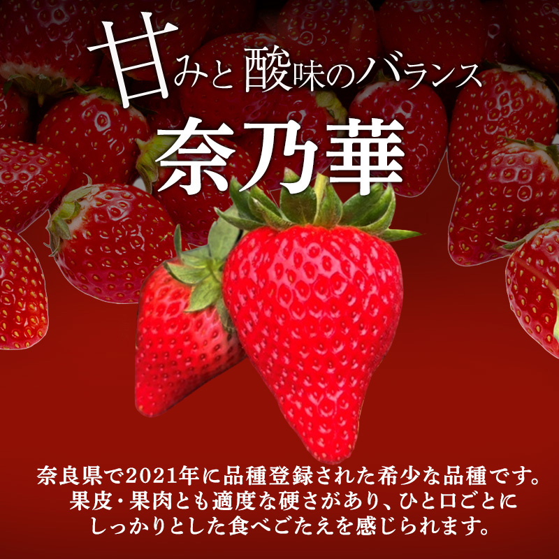 先行予約 いちご 奈良県産 奈乃華 約540g 270g×2パック 今西さん家の奈良いちご 冷蔵配送 なのか フルーツ 果物 旬 糖度 産地直送 農家直送 お取り寄せ おやつ デザート 苺 冷蔵  奈