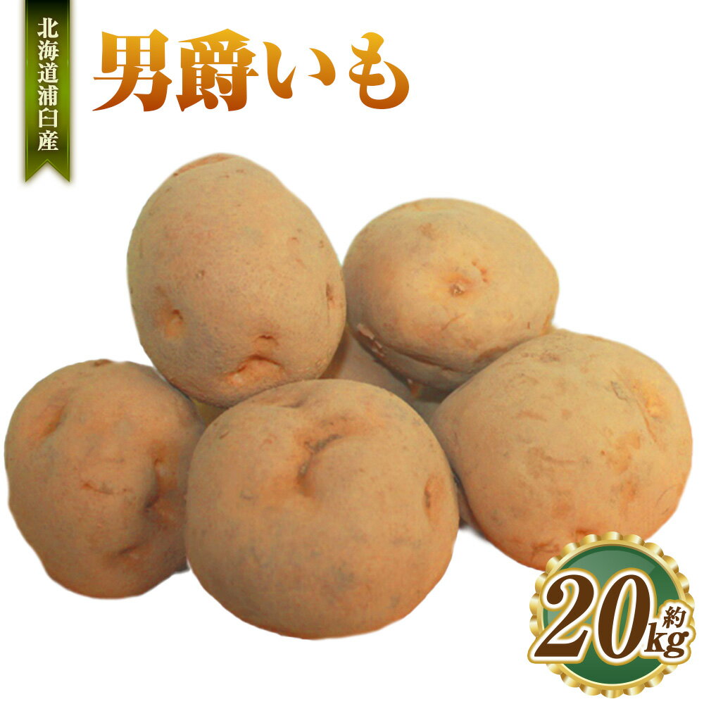 【ふるさと納税】男爵いも 約20kg じゃがいも 穀物 北海道 浦臼町 送料無料 【2025年9月中旬～2025年10月中旬発送予定】