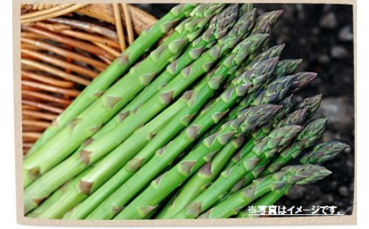
【R6年産】アスパラガス（夏採り）特別栽培　0.9kg　細川農園/010-24200-b01C
