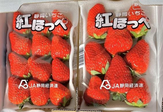 【予約受付】特別賞受賞！ご自宅用いちごBabyBerryFarm　300g以上2パック　紅ほっぺ いちご 果物 フルーツ 苺 イチゴ くだもの 静岡県産 期間限定　<A-2>