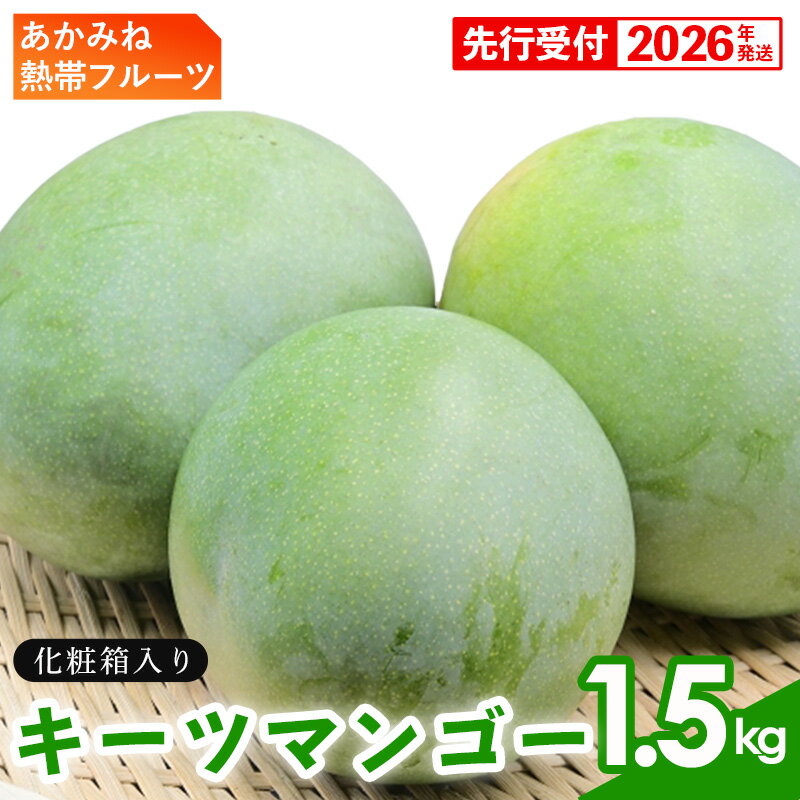 【ふるさと納税】【化粧箱入】【先行受付・2026年発送】あかみね熱帯フルーツのキーツマンゴー約1.5kg - 先行予約 沖縄県産 産地直送 南国フルーツ 旬の味覚 季節の果物 希少種 化粧箱 ギフト 沖縄県 八重瀬町
