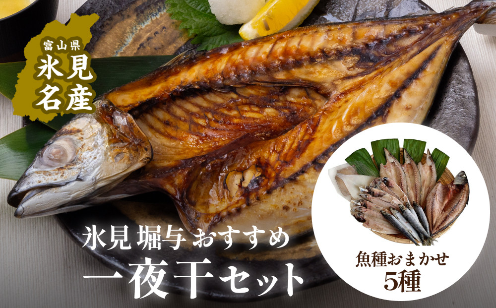 
            【氷見堀与】 おすすめ一夜干5種セット 〈冷凍〉
          