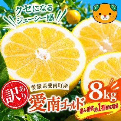 ふるさと納税 愛南町 【先行予約:2027年3月下旬から発送】 愛南ゴールド 8kg +傷み補償約1割程度 愛南町青果市場