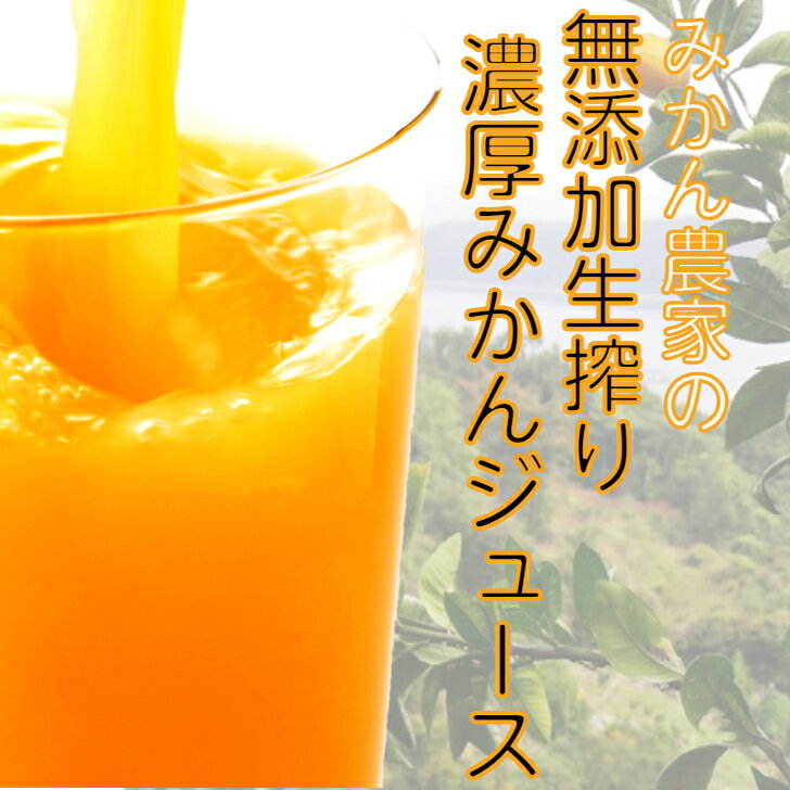【ふるさと納税】生搾り!果汁100％濃厚みかんジュース2本セット