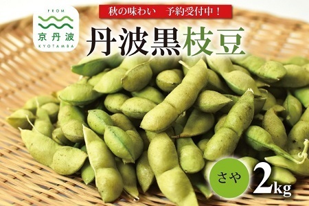 《 先行予約 》丹波黒枝豆 さや 2kg 京都 京丹波町産 【 枝豆 おつまみ 枝豆 黒豆 枝豆  黒枝豆 】  [015KK002L]