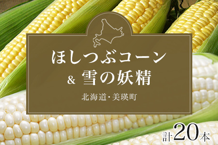 とうもろこし【令和８年産予約受付！】黒木農場　とうもろこし（ほしつぶコーン＆雪の妖精）各10本 計20本  [016-92]