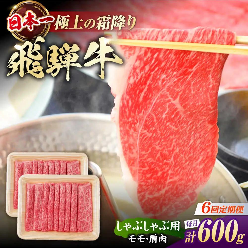 【6回定期便】飛騨牛 牛しゃぶ用赤身 600g / 浅井商店[AWBJ019] 飛騨牛